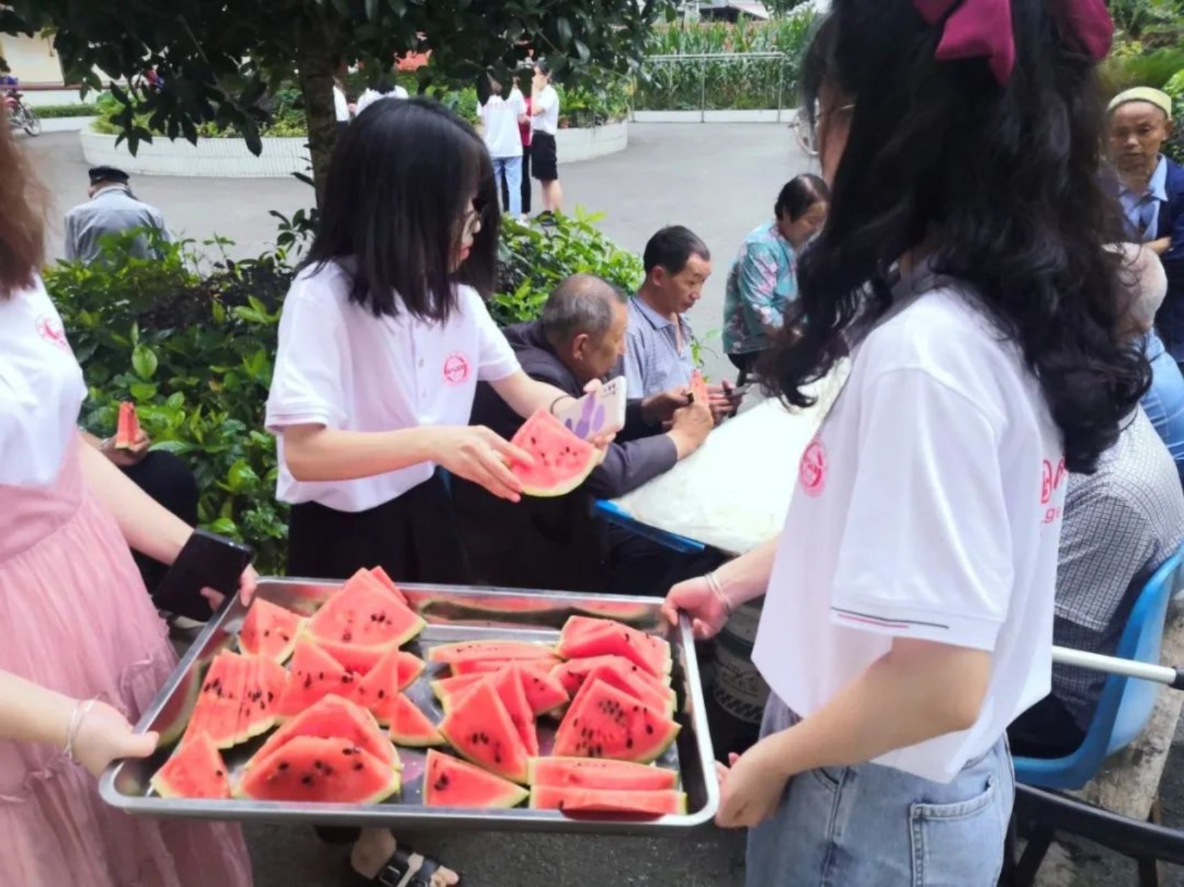 太阳成集团tyc33455