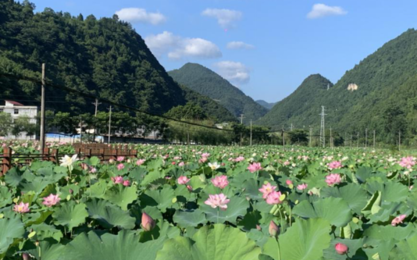 太阳成集团tyc33455