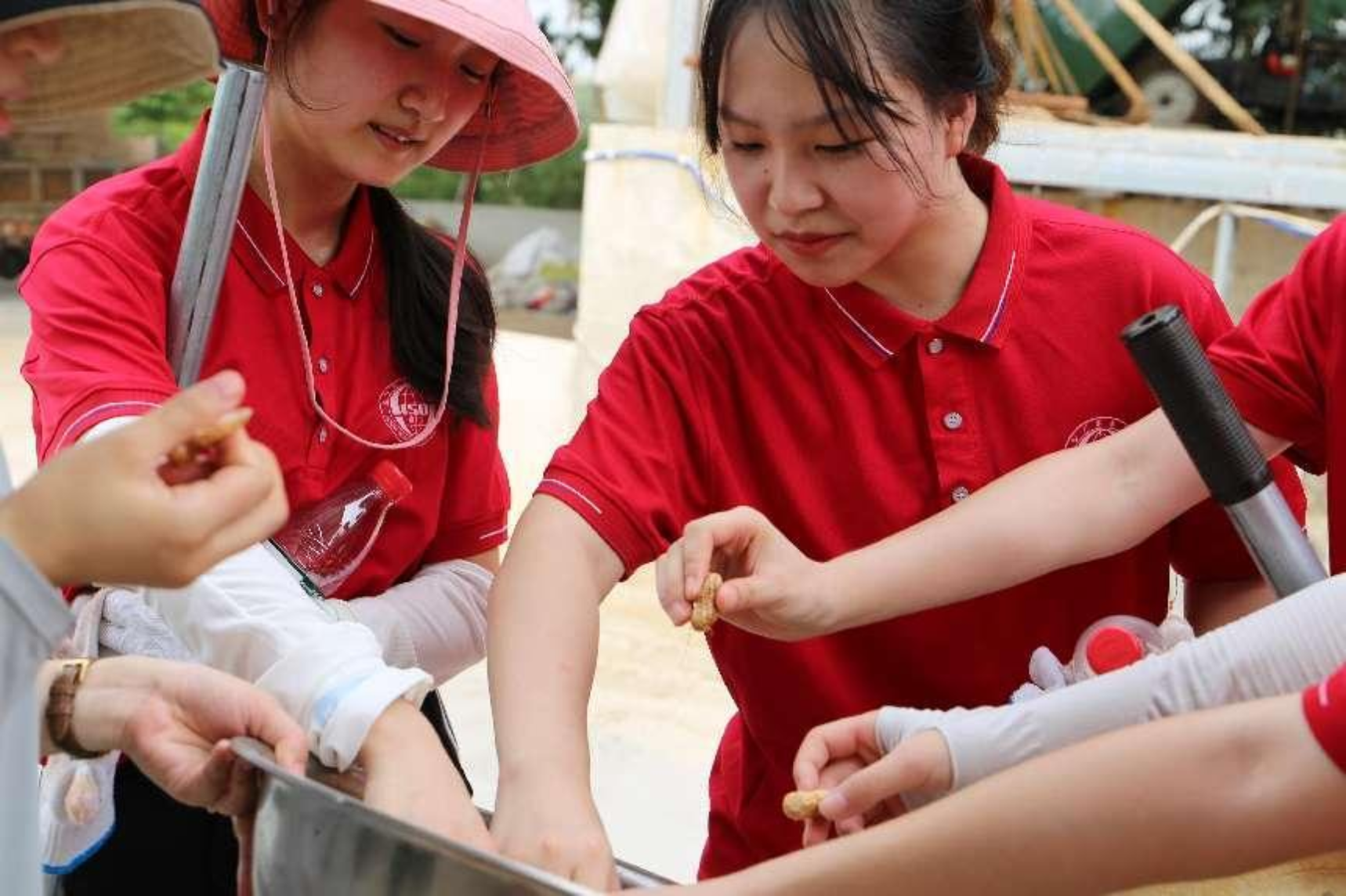 太阳成集团tyc33455