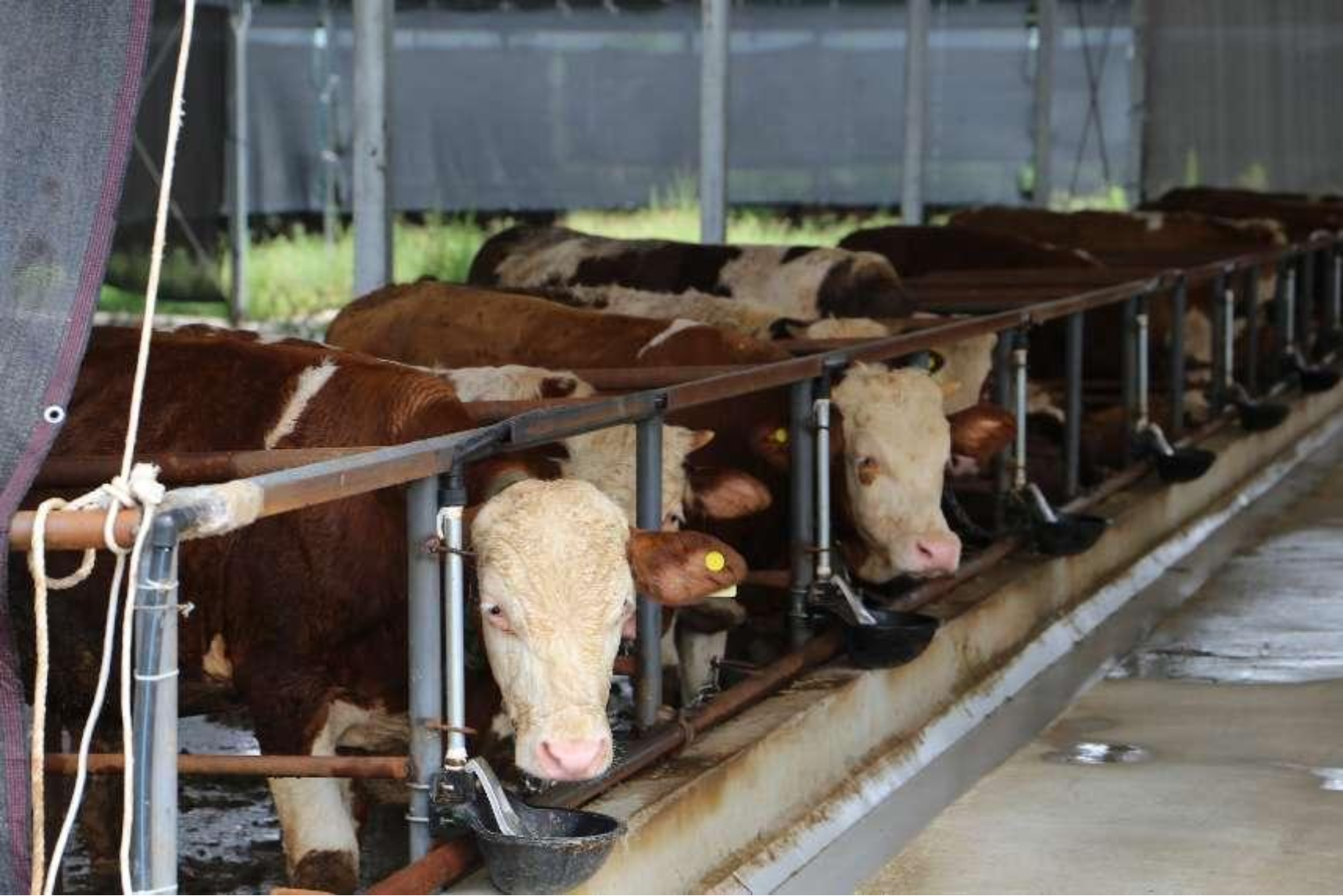 太阳成集团tyc33455