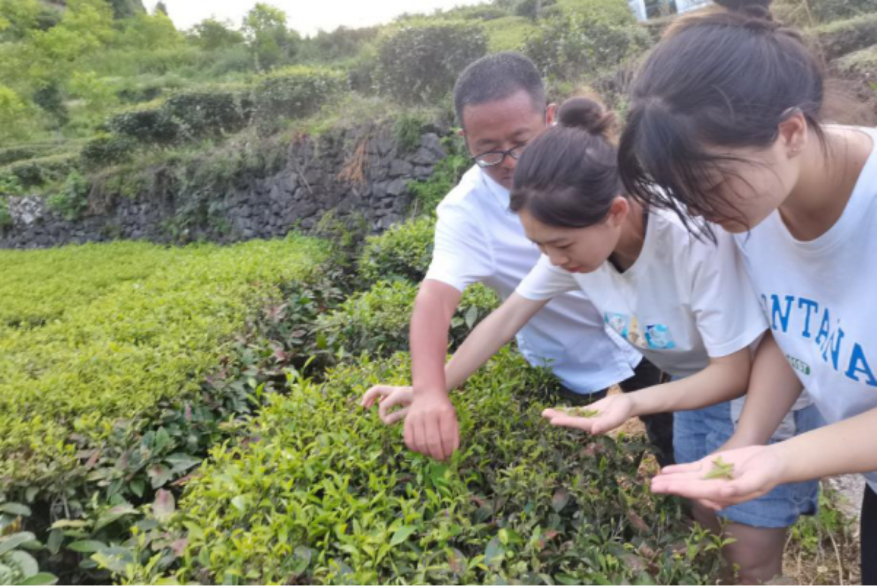 太阳成集团tyc33455