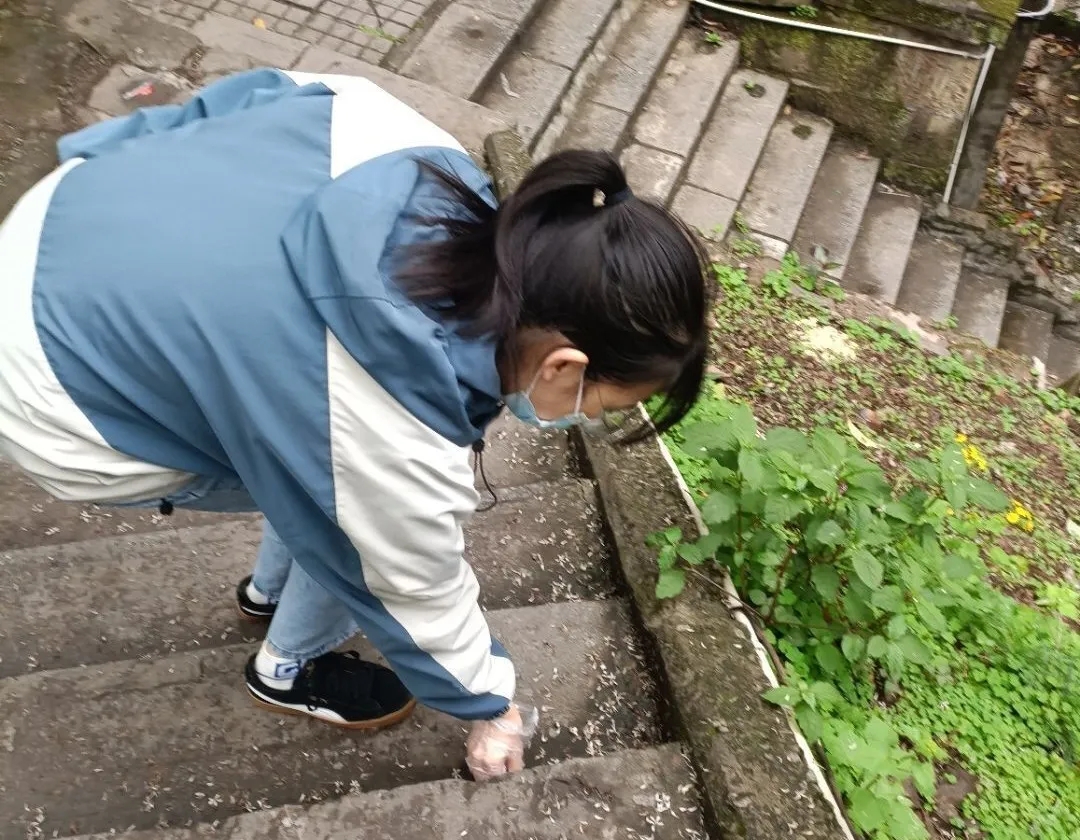 太阳成集团tyc33455