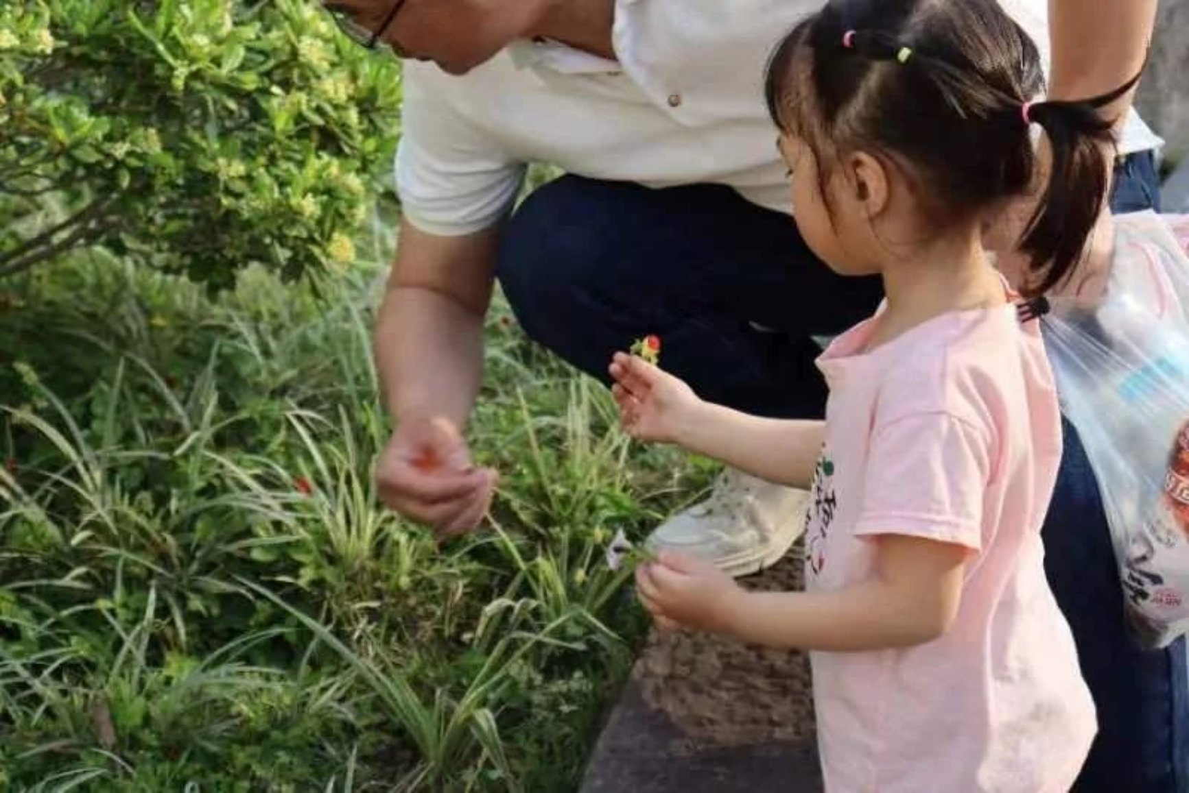 太阳成集团tyc33455