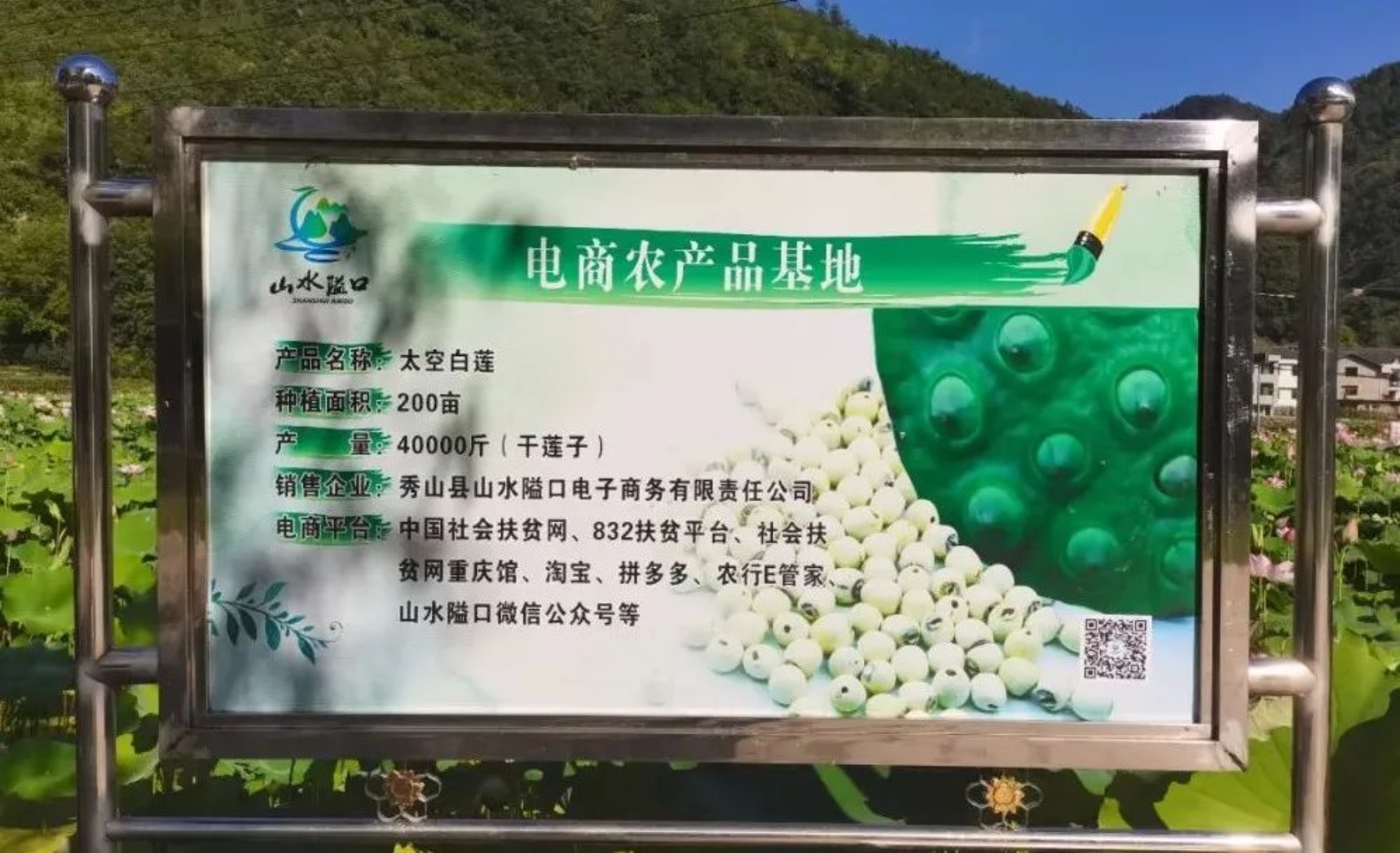 太阳成集团tyc33455