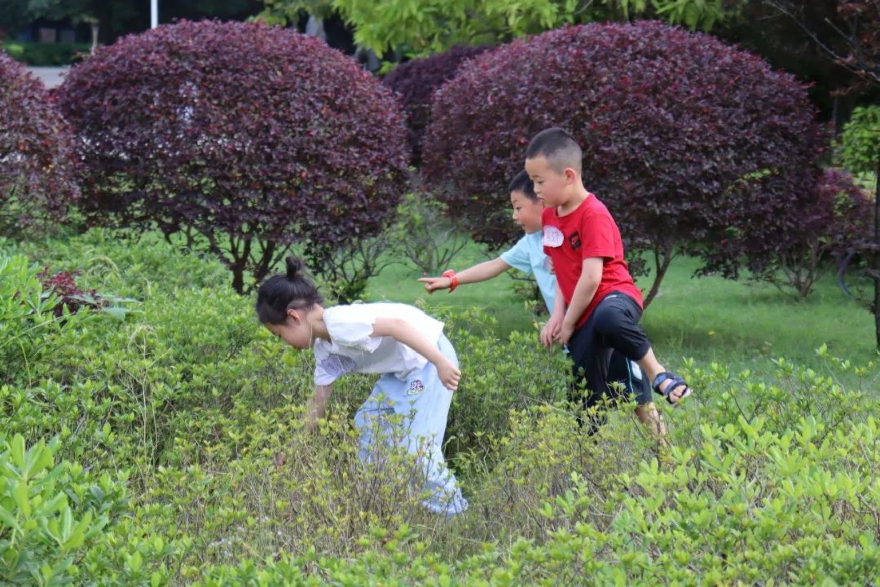 太阳成集团tyc33455