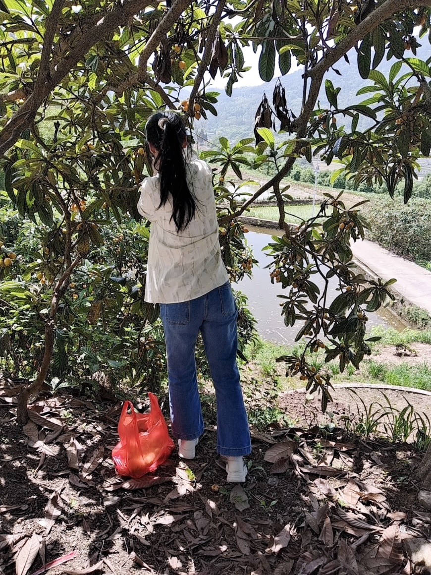 太阳成集团tyc33455