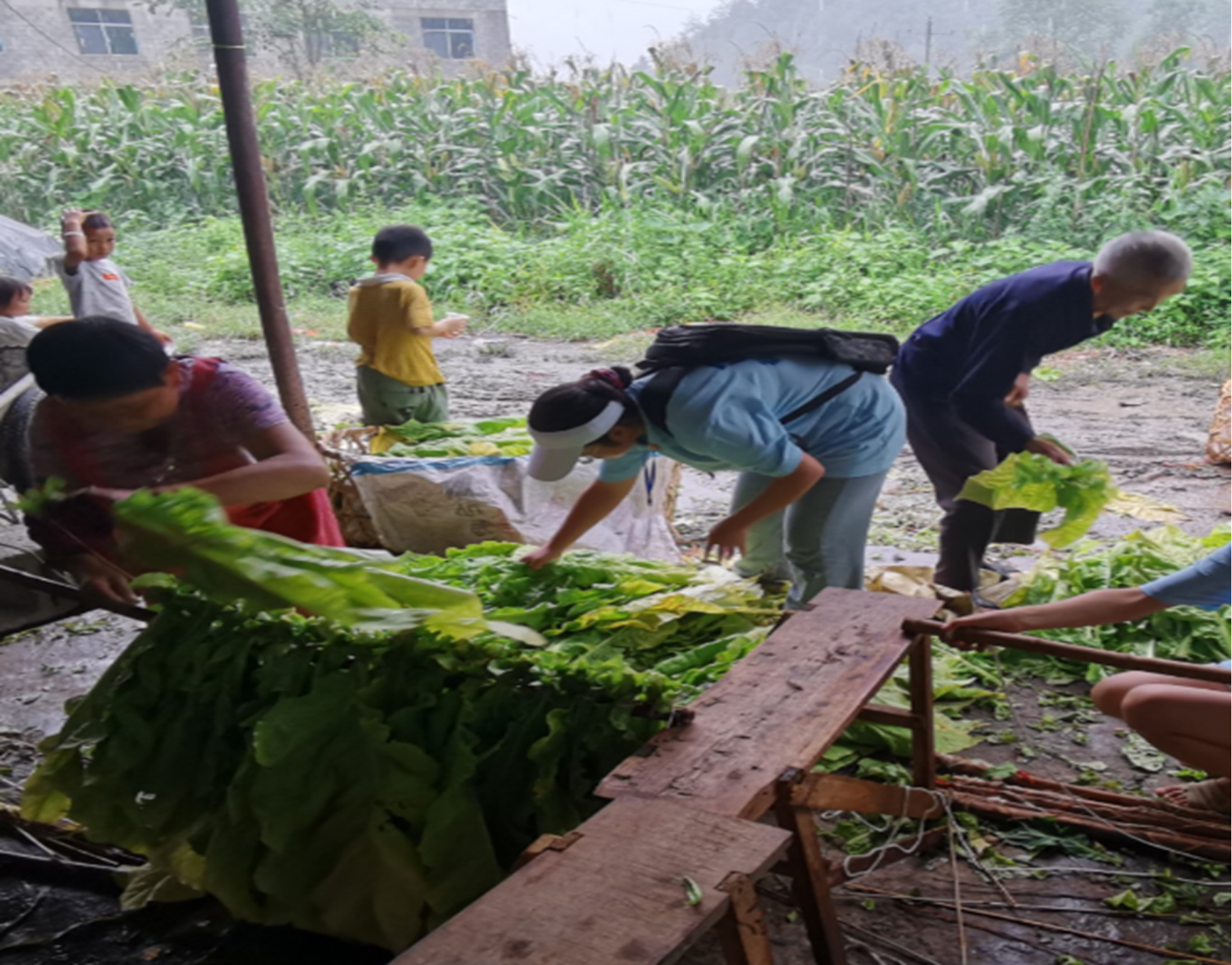 太阳成集团tyc33455