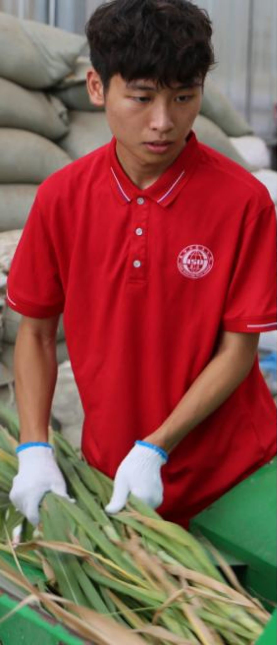 太阳成集团tyc33455